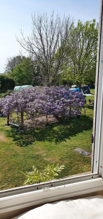 Bed and Breakfast Wisteria House Chanteloup  Экстерьер фото
