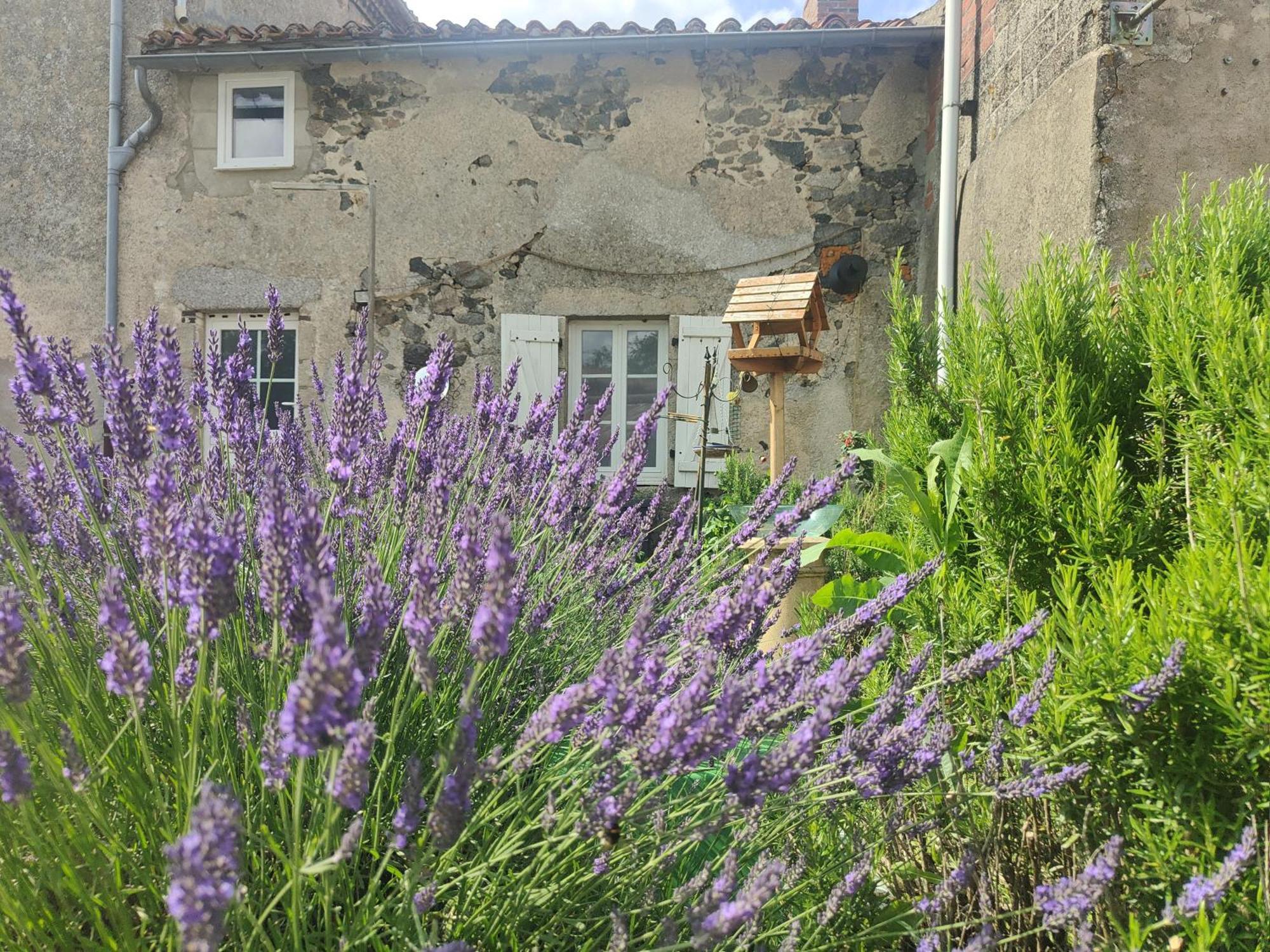 Bed and Breakfast Wisteria House Chanteloup  Экстерьер фото