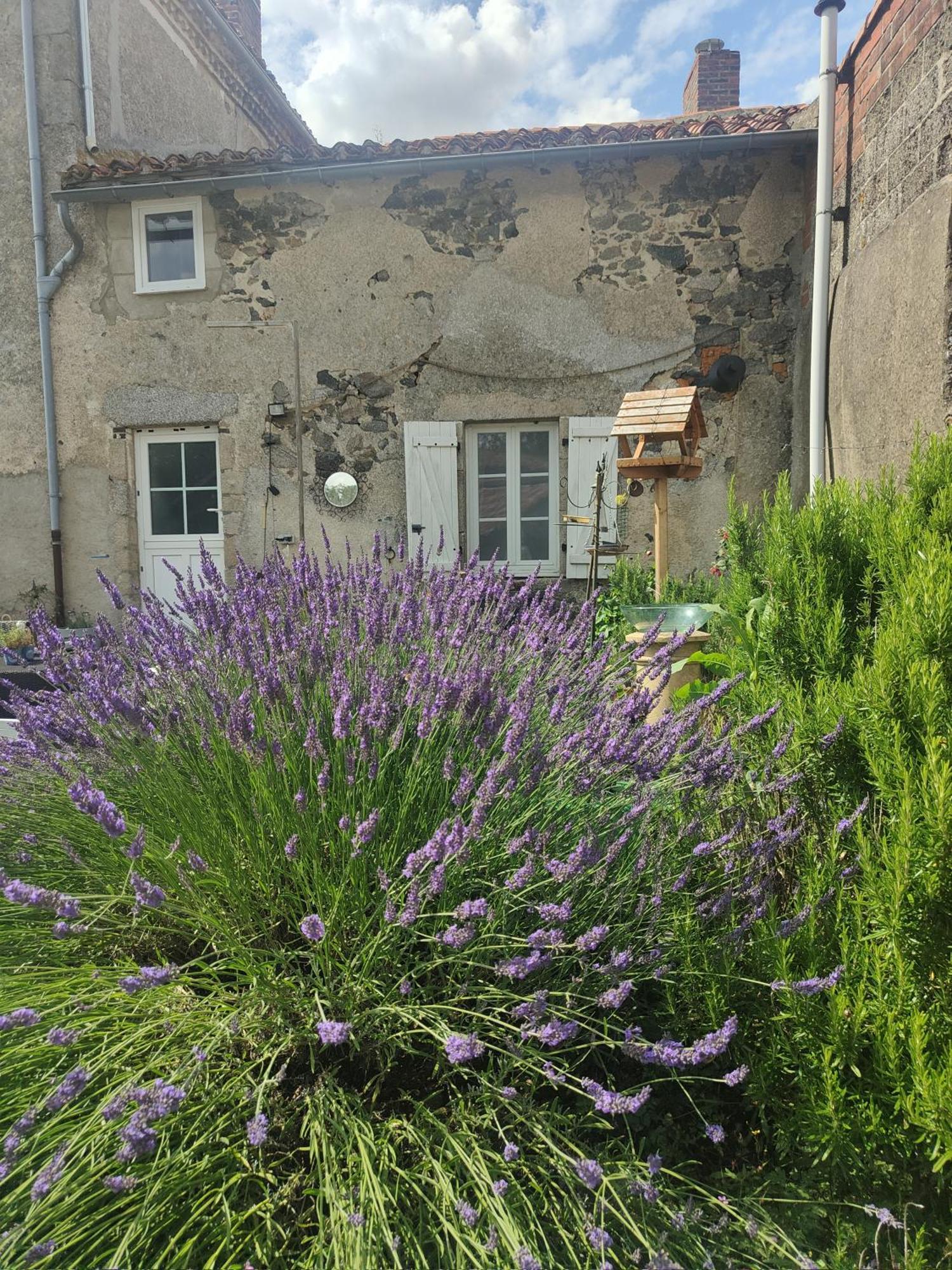 Bed and Breakfast Wisteria House Chanteloup  Экстерьер фото